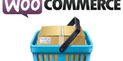 Instalar Idioma español a WooCommerce